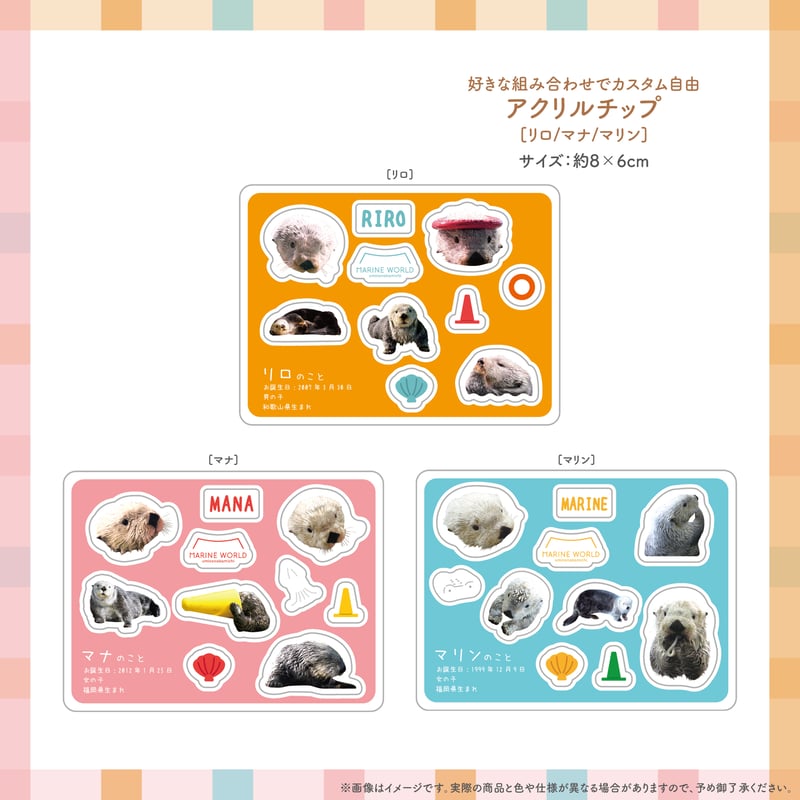 忘れない記憶」セット | すいそう