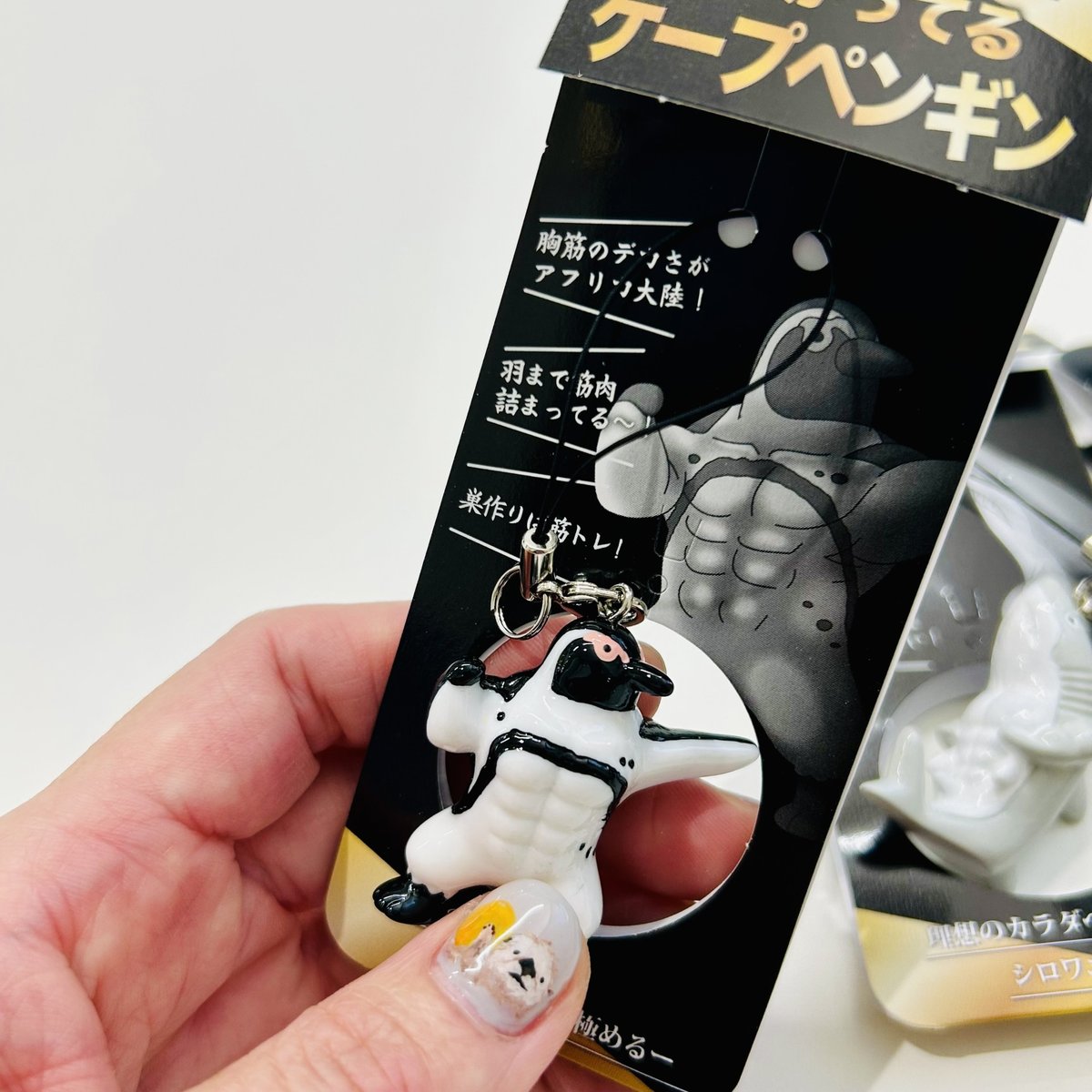 ケープペンギンの爪