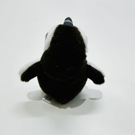 ぽちゃまるマグネット（ケープペンギン）