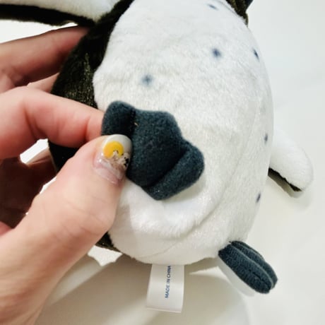ぽちゃまる ケープペンギン