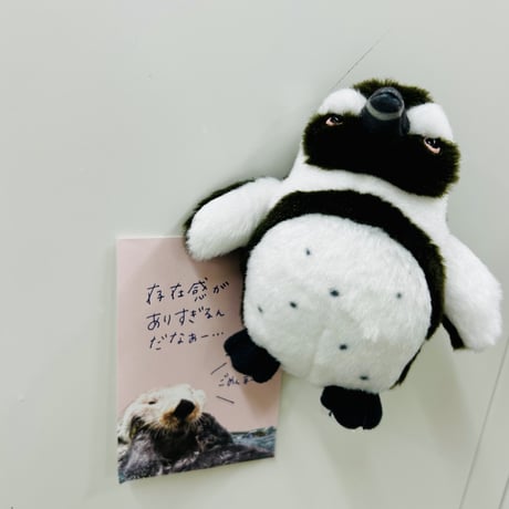 ぽちゃまるマグネット（ケープペンギン）