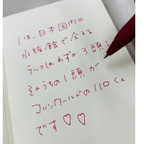 サラサクリップ - 3種セット