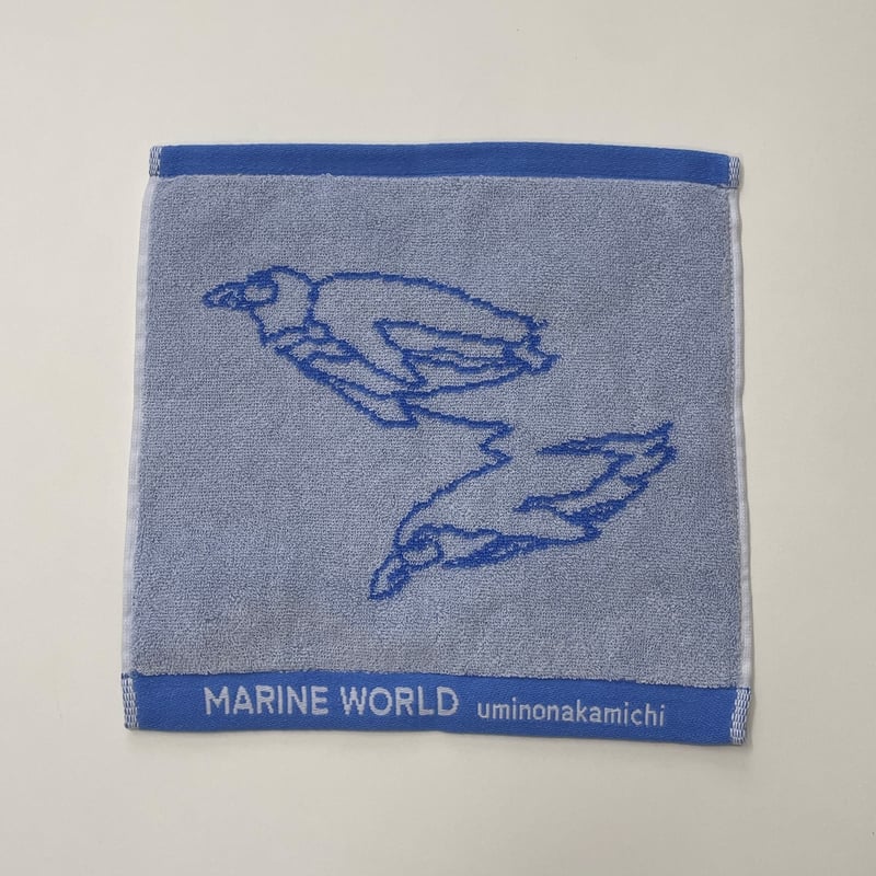 【超初期】CNBLUE タオル　レア 2024-25 選手名タオル(HOME) – KAWASAKI BRAVE THUNDERS