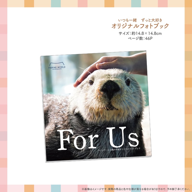 忘れない記憶」セット | すいそう