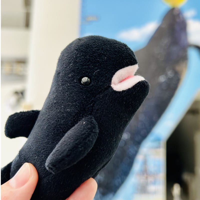 ゆきりん様♪ご確認用１枚目  可愛い子供３０枚 画像・写真 柏木由紀、31歳の誕生日をファンに報告「ゆきりん、お誕生