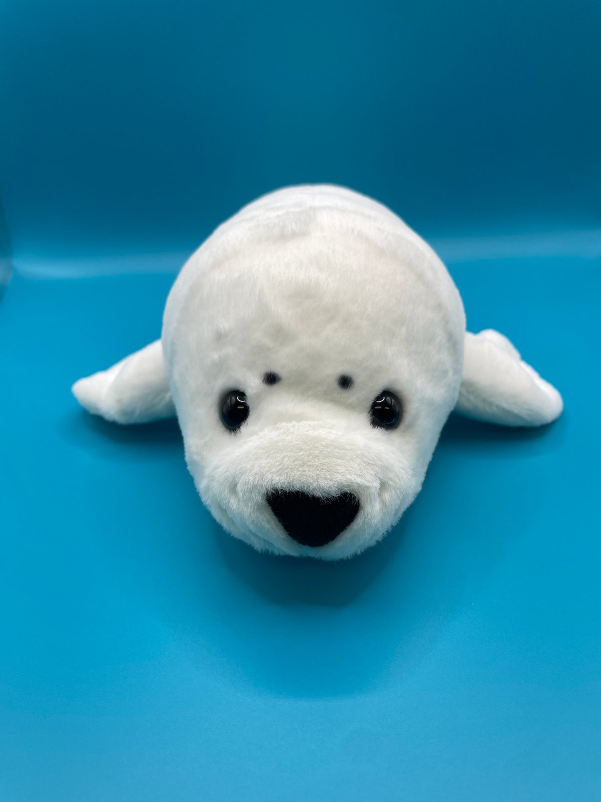 ぽちゃまる アザラシ | すいそう