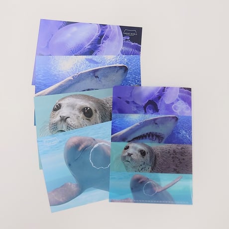 CATEGORY 文具・他雑貨 | すいそう