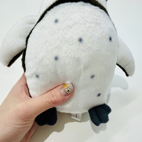 ぽちゃまる ケープペンギン