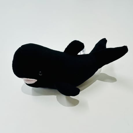 てのりユキちゃん