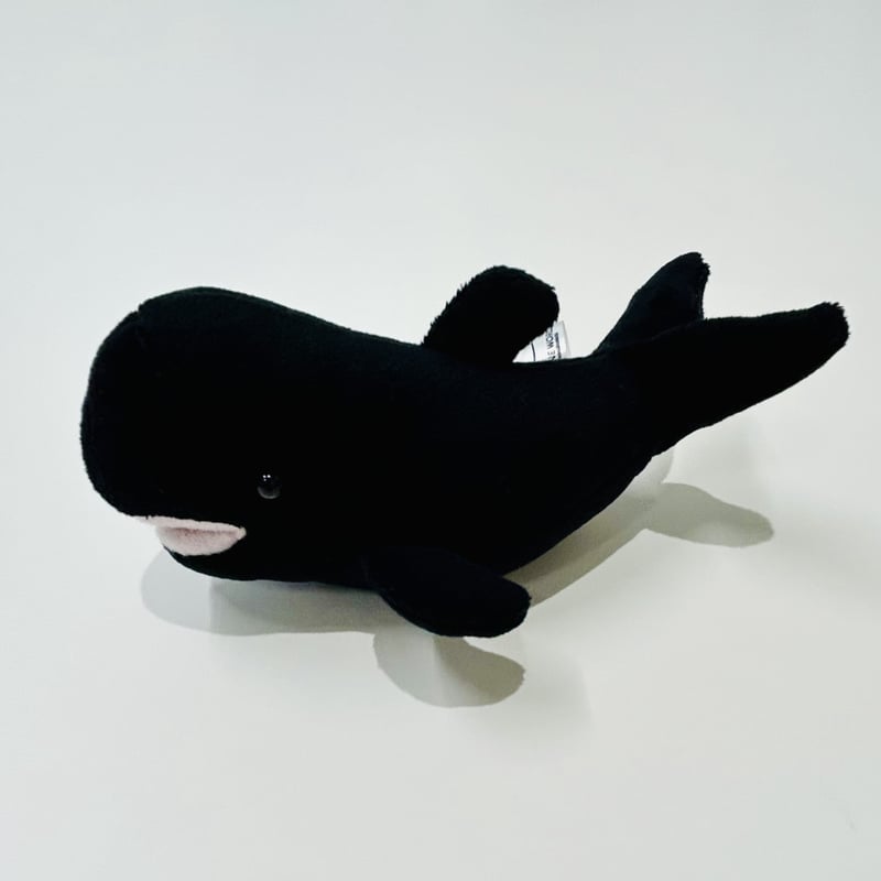 てのりユキちゃん | すいそう