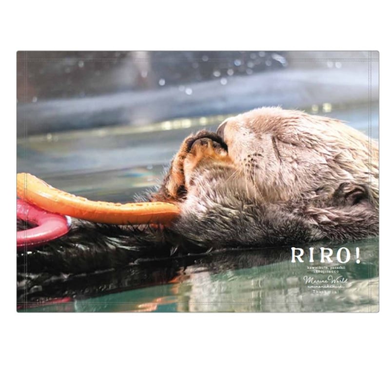 鳥羽水族館　ラッコ　メイ　キラ　限定品　ブランケット　膝掛け Amazon.co.jp: 限定 鳥羽水族館︎ ラッコ飼育40周年記念︎メイとキラの