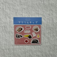 アクリルチップ（マナ）