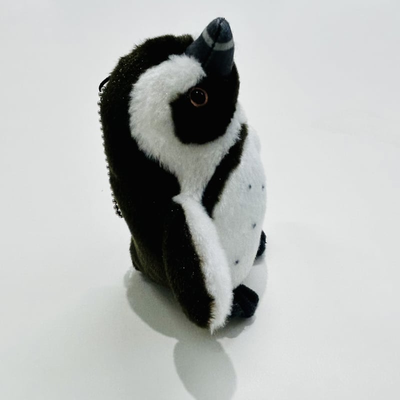 ぽちゃまるマスコット（ケープペンギン） | すいそう