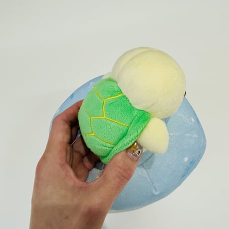 ちょころん（アオウミガメ）