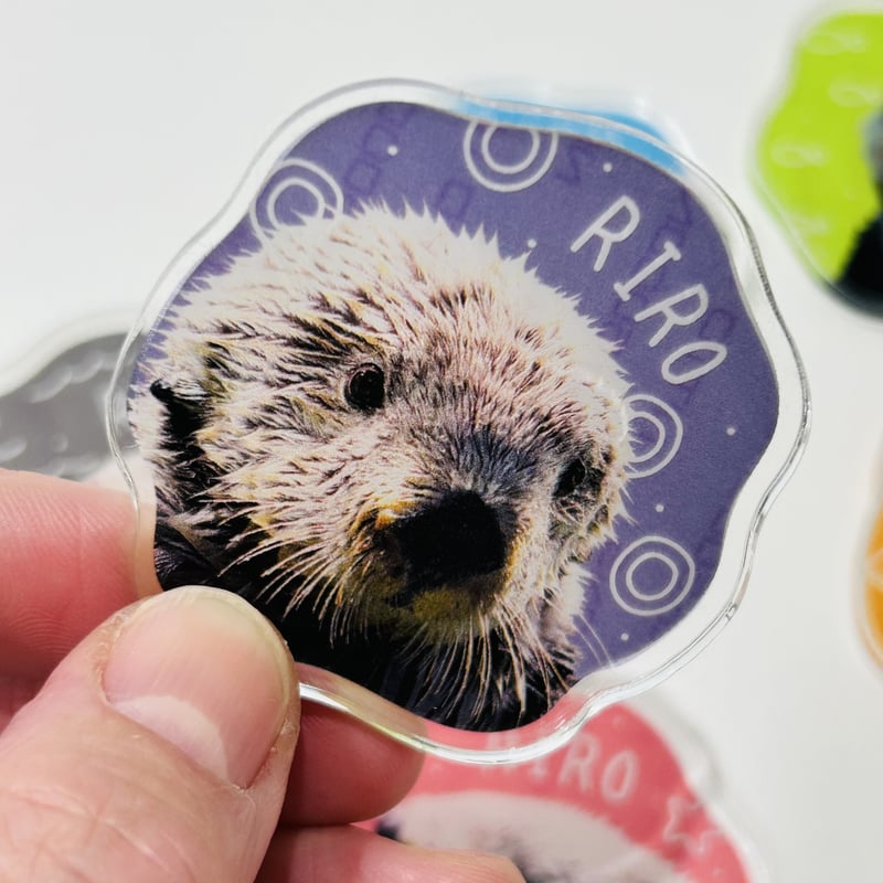 アクリルステッカー（リロ）- シークレット | すいそう