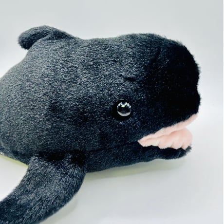 ぽちゃまる ユキちゃん