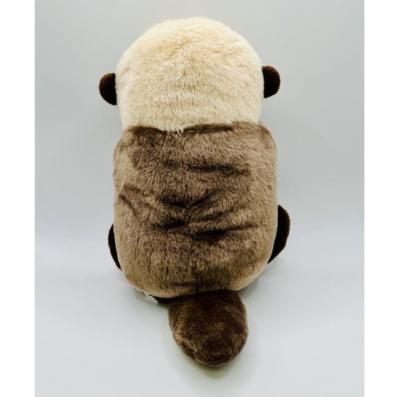 ぽちゃまる ラッコ | すいそう