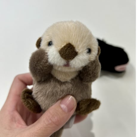 ぽちゃまるマスコット（ラッコ）