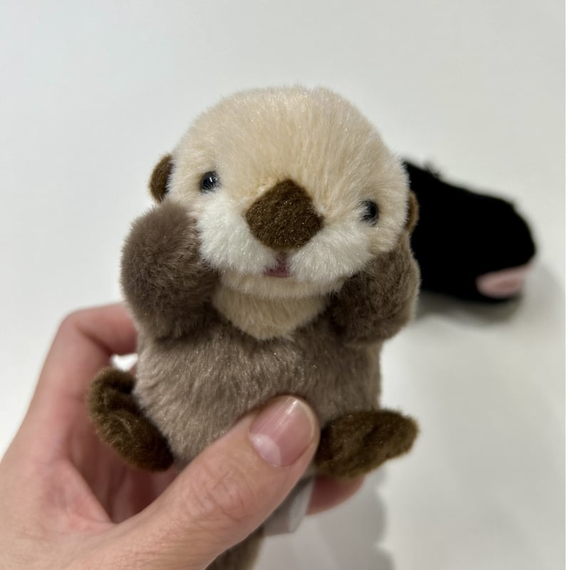 鳥羽水族館 ラッコ ぽちゃまるラッコオリジナル キラ メイ 鳥羽水族館