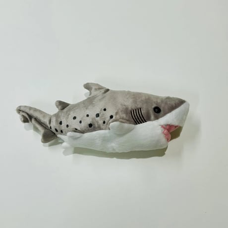ぽちゃまる シロワニ