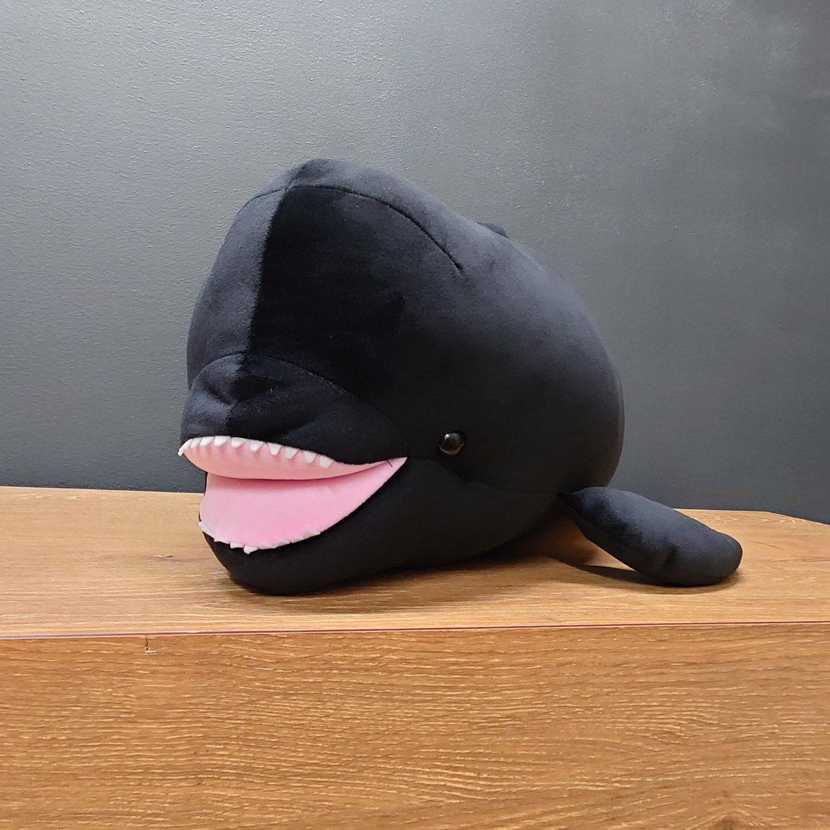 マリンワールド　ユキちゃんぬいぐるみ　特大サイズ　限定品 もちもちユキちゃん | すいそう