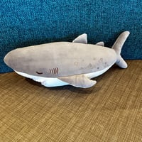 かむかむズ（シロワニ）