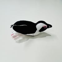 てのりケープペンギン