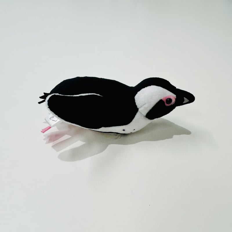 てのりケープペンギン | すいそう