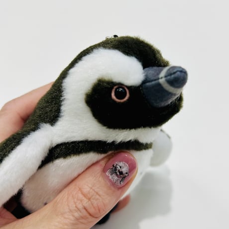 ぽちゃまるマスコット（ケープペンギン）
