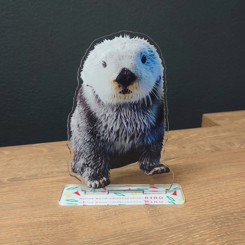 ラッコ リロ グッズ BIGアクリルスタンド（リロ - 見つめる） | すいそう