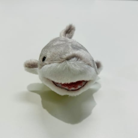ぽちゃまるマグネット（シロワニ）