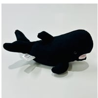 てのりユキちゃん