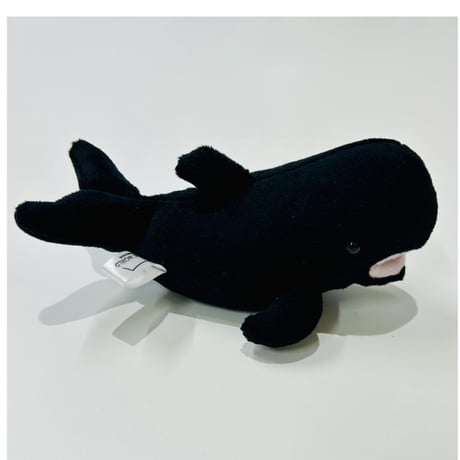 CATEGORY ぬいぐるみ | すいそう