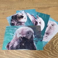 A6クリアファイル・ポストカード4枚セット（リロⅡ）