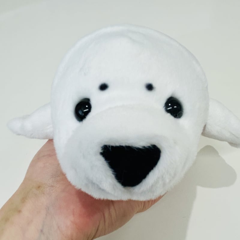 ぽちゃまる アザラシ | すいそう