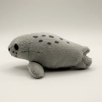 マグネット（ゴマフアザラシ）