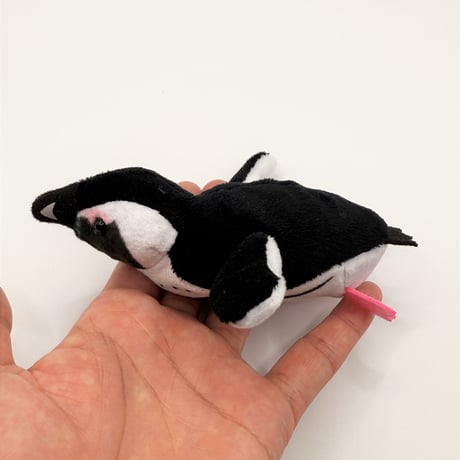 マグネット（ケープペンギン）