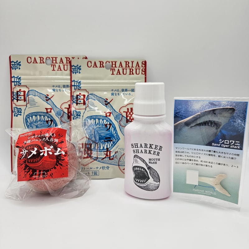 サメの歯 GI GI HIU】サメの歯の化石とターコイズ☆海好きさんのお守り(B