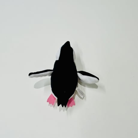 てのりケープペンギン