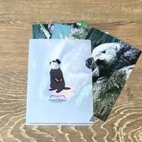 A6クリアファイル・ポストカード4枚セット（リロ）