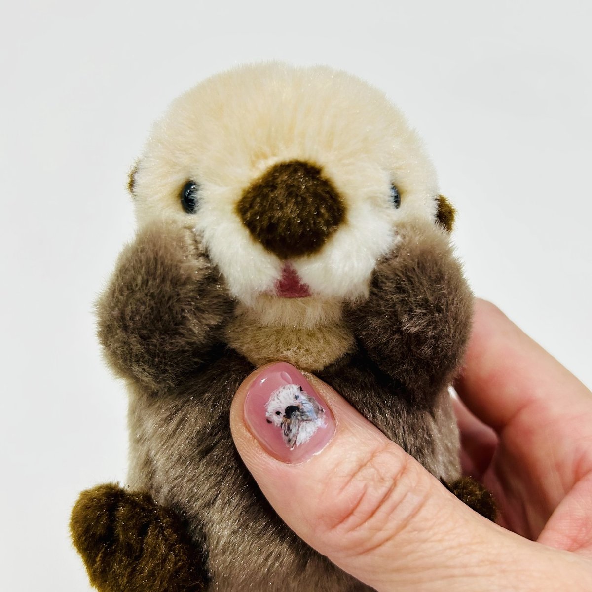 ぽちゃまるマグネット（ラッコ） | すいそう