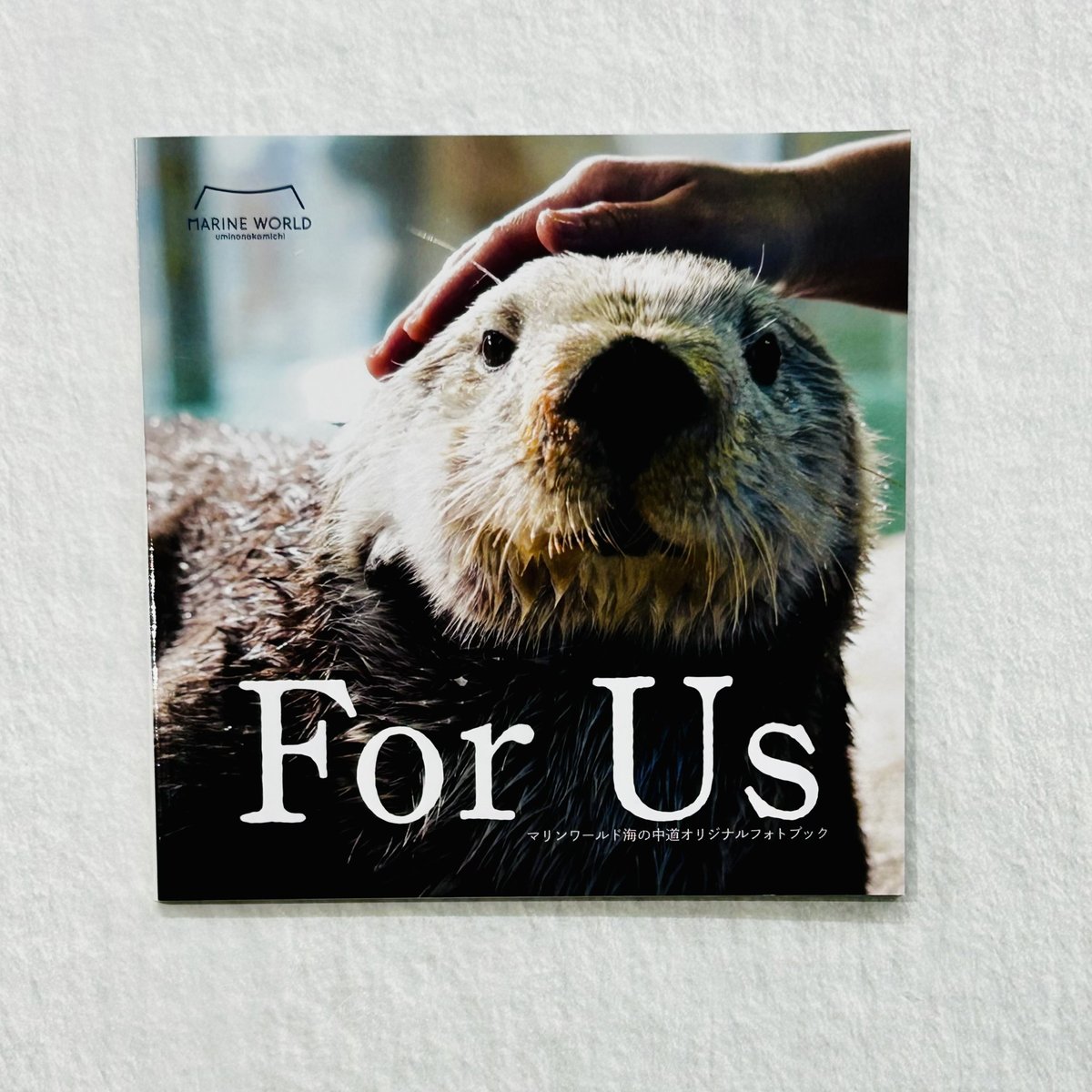 オリジナルフォトブック For Us | すいそう