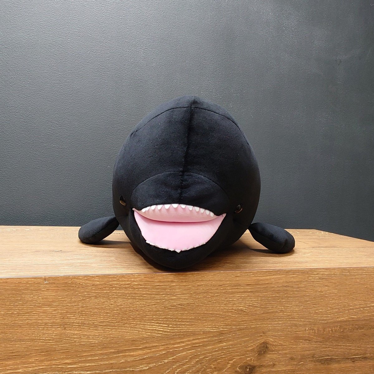 もちもちユキちゃん | すいそう