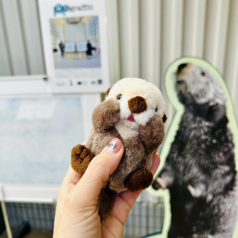 ぽちゃまるマグネット（ラッコ） | すいそう