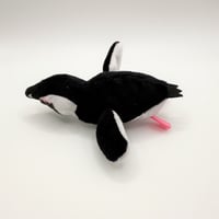 マグネット（ケープペンギン）