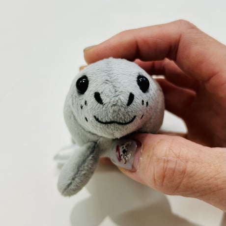 マグネット（ゴマフアザラシ）