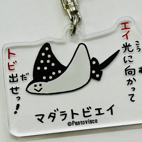【マリンワールド×パントビスコ】アクリルキーホルダー