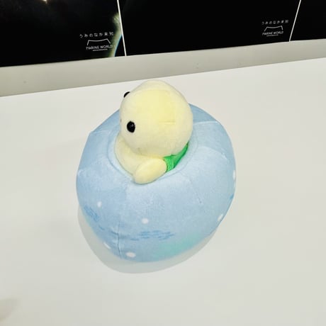 ちょころん（アオウミガメ）