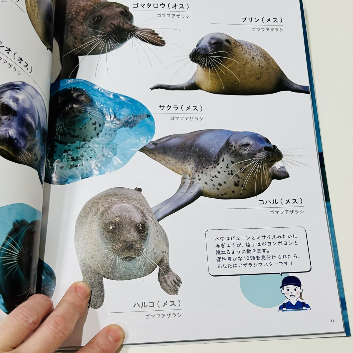 マリンワールド海の中道 オフィシャルファンブック | すいそう