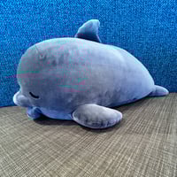 ぽちゃまる ラッコ | すいそう